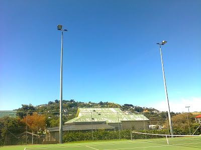Maintenance to 15m floodlighting poles